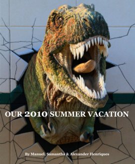 OUR 2010 SUMMER VACATION book cover