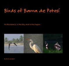 Birds of Barra de Potosi­ book cover