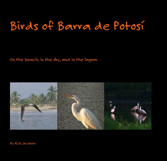 Ver Birds of Barra de Potosi­ por Rick Jacobson
