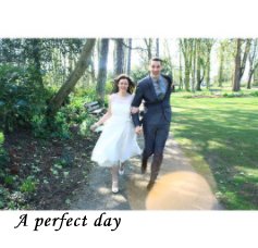 A perfect day book cover