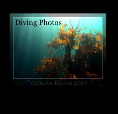 Diving Photos book cover