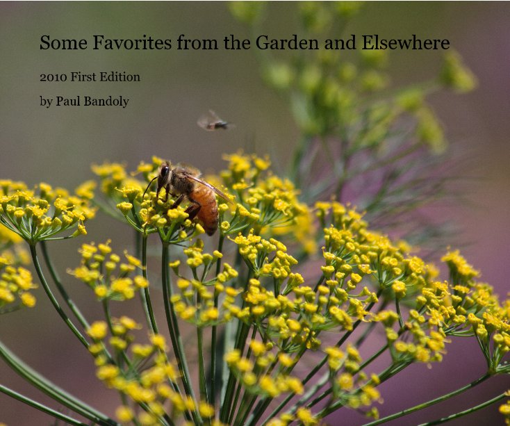 View Some Favorites from the Garden and Elsewhere by Paul Bandoly