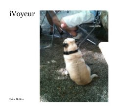 iVoyeur book cover