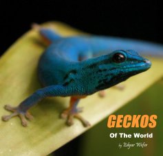 GECKOS Of The World book cover