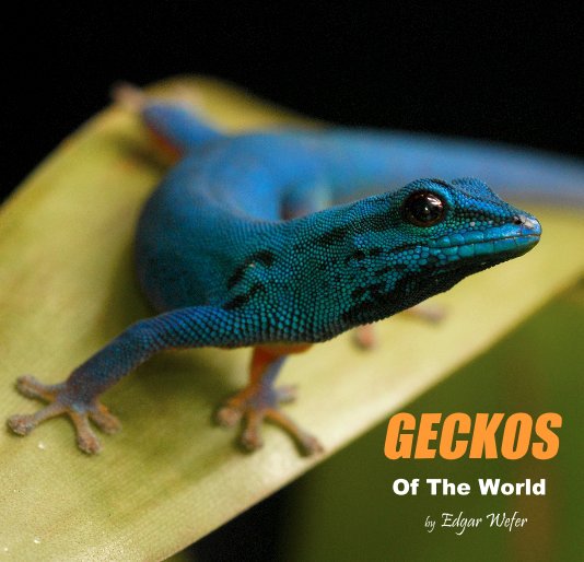 View GECKOS Of The World by Edgar Wefer