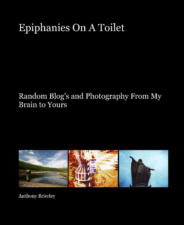 View Epiphanies On A Toilet by Anthony Brierley
