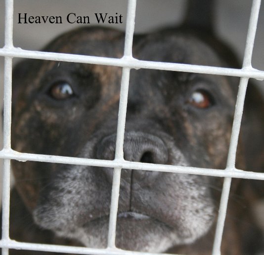 View Heaven Can Wait by Natalie Shaw - Volunteer