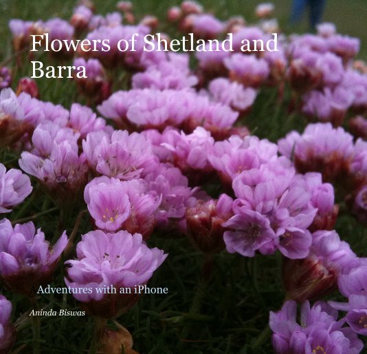View Flowers of Shetland and Barra by Aninda Biswas