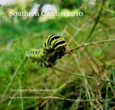 Southern Garden 2010 book cover