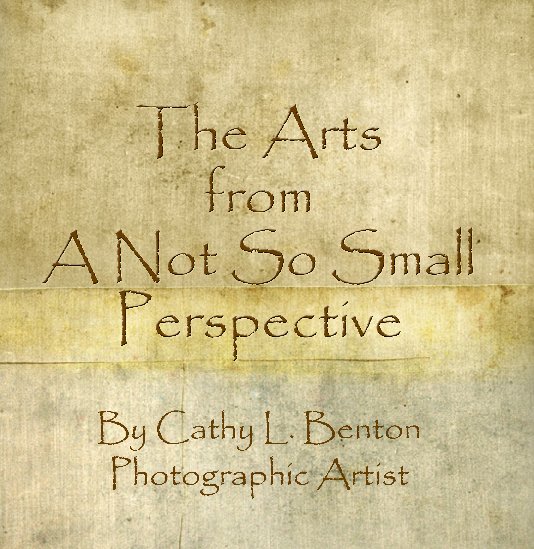 Ver the Arts from A Not So Small Perspective por Cathy L. Benton