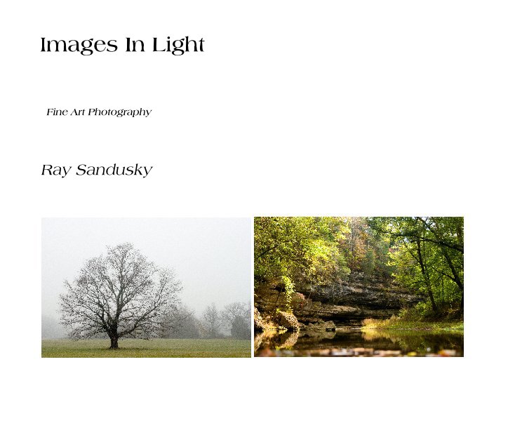 View Images In Light by Ray Sandusky