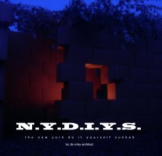 N.Y.D.I.Y.S. book cover