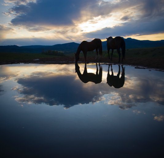 Ver Home Ranch por Christopher Mellevold