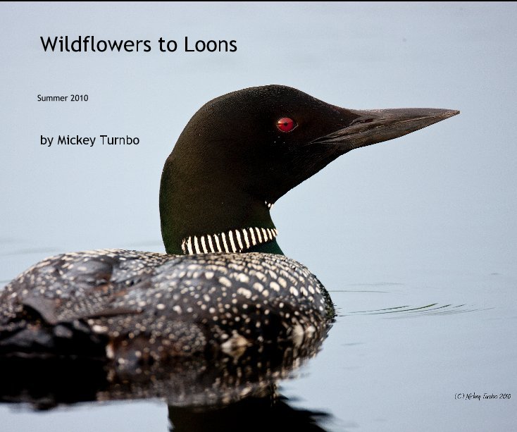 Ver Wildflowers to Loons por Mickey Turnbo