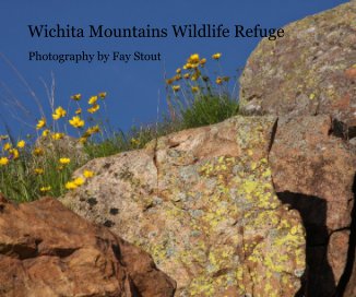 Wichita Mountains Wildlife Refuge book cover