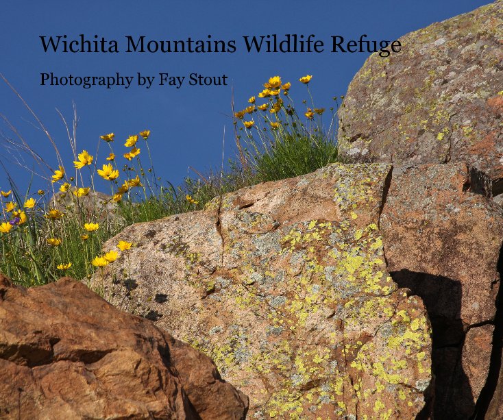 Visualizza Wichita Mountains Wildlife Refuge di Fay Stout