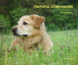 FAITHFUL COMPANIONS book cover