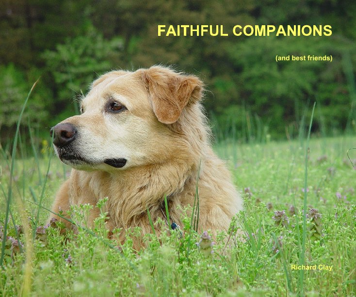 View FAITHFUL COMPANIONS by Richard Clay