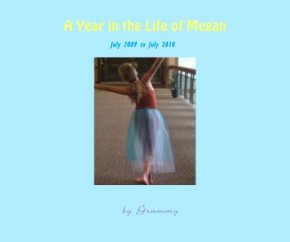 A Year in the Life of Megan book cover