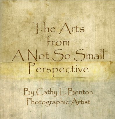 The Arts From A Not So Small Perspective book cover