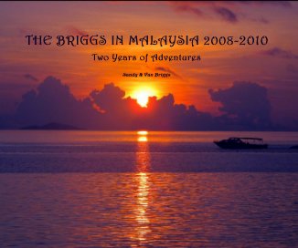 THE BRIGGS IN MALAYSIA 2008-2010 book cover