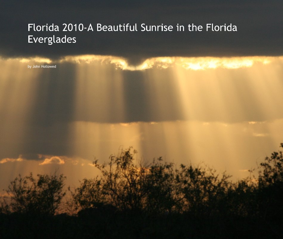 View Florida 2010-A Beautiful Sunrise in the Florida Everglades by John Hollowed