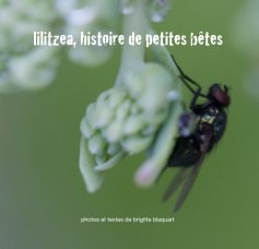 lilitzea, histoire de petites bêtes book cover