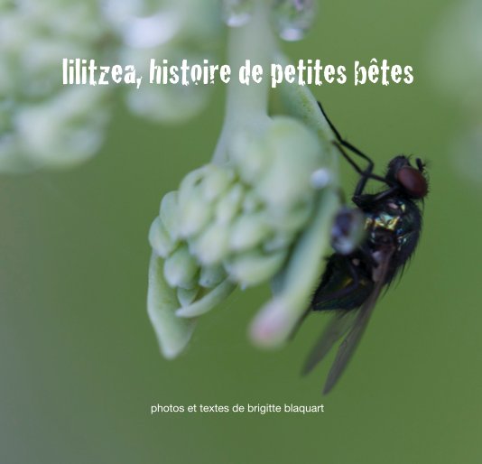 lilitzea, histoire de petites bêtes by photos et textes de Brigitte ...
