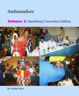 Ambassadors book cover