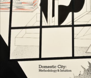 Domestic City: Methodology & Intuition book cover