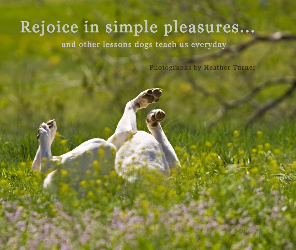Ver Rejoice in simple pleasures por Heather Turner