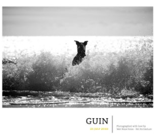 Guin book cover