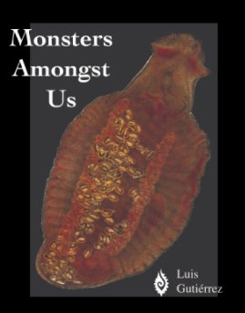 Monsters Amongst Us book cover
