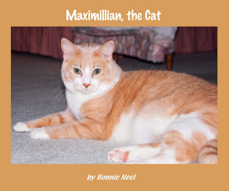 View Maximillian, the Cat by Bonnie Neel