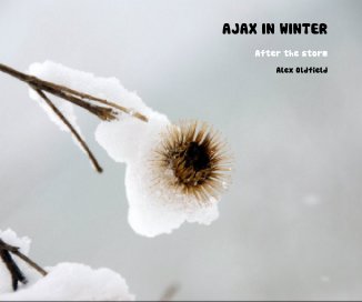 AJAX IN WINTER book cover