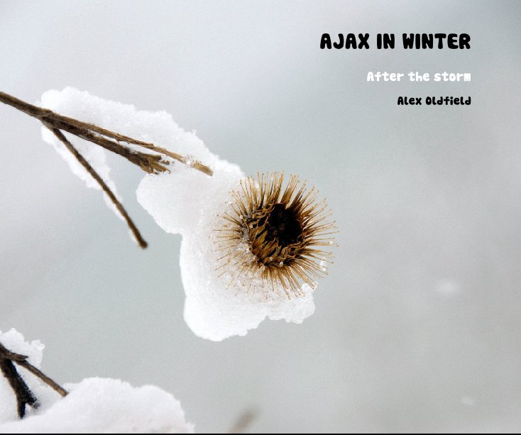 View AJAX IN WINTER by Alex Oldfield