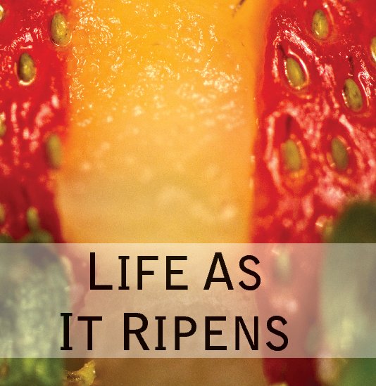 View Life As It Ripens by Haley Brown