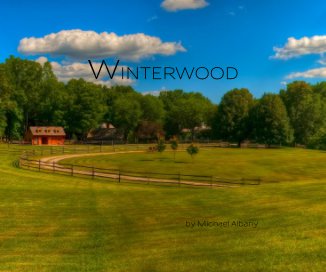 WINTERWOOD book cover