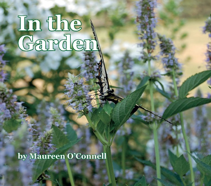 View In the Garden by Maureen O'Connell