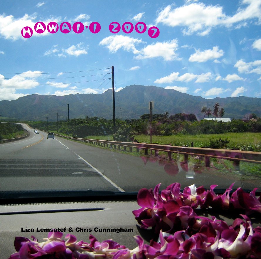 View Hawai'i 2007 by Liza Lemsatef & Chris Cunningham
