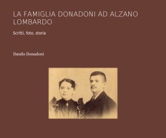LA FAMIGLIA DONADONI AD ALZANO LOMBARDO book cover