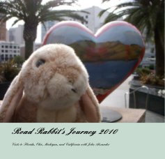 Road Rabbit's Journey 2010 book cover