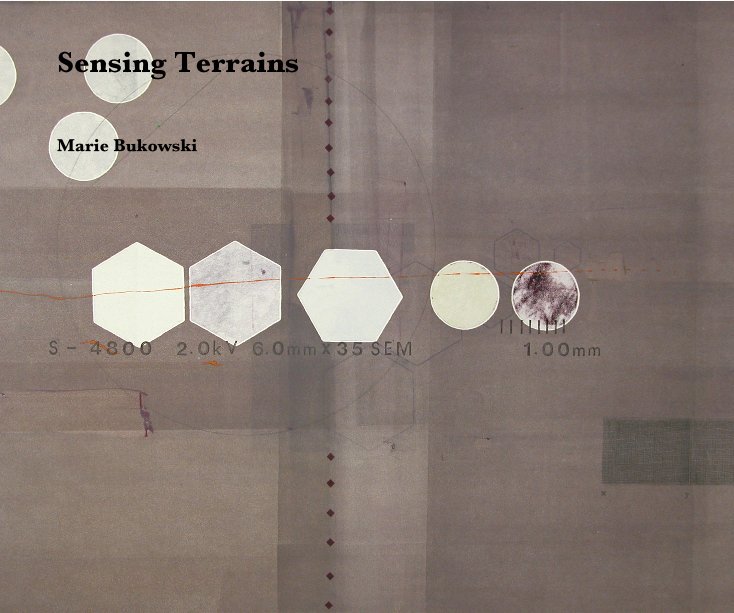 View Sensing Terrains by Marie Bukowski