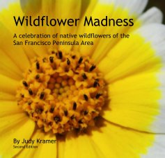 Wildflower Madness book cover