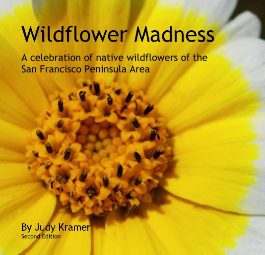 View Wildflower Madness by Judy Kramer