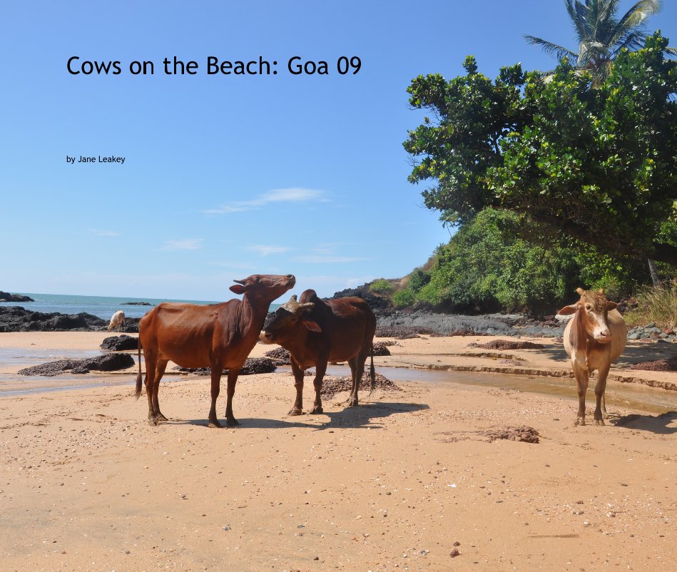 View Cows on the Beach: Goa 09 by Jane Leakey