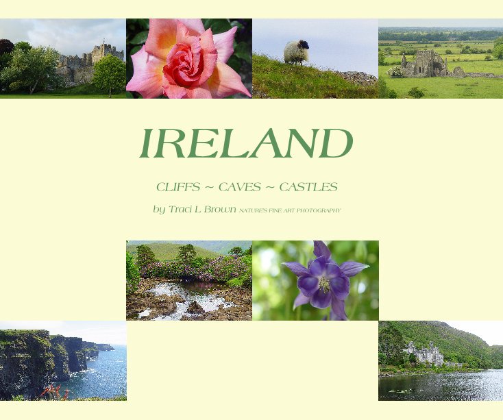 View IRELAND by Traci L Brown NATURE'S FINE ART PHOTOGRAPHY