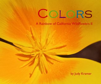 Colors book cover