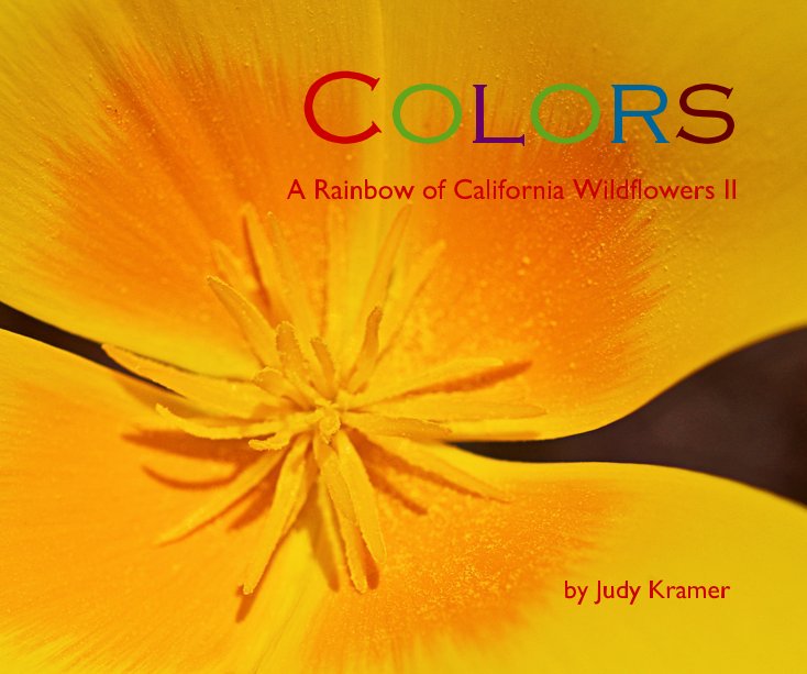 View Colors by Judy Kramer
