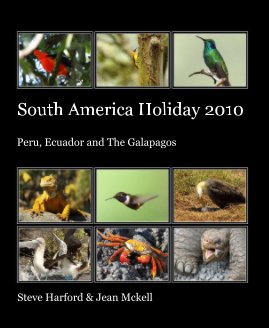 South America Holiday 2010 book cover